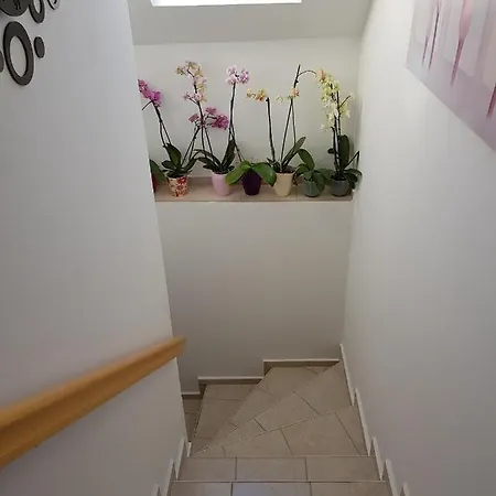 In 36227 벌러토너컬리